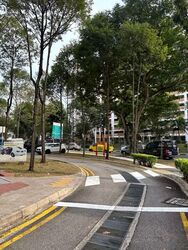 Hougang Avenue 1 (D19), Shop House #535247111